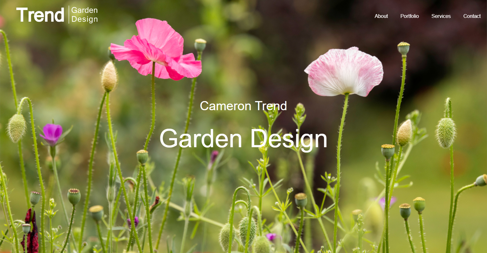 Cameron Trend Design Landing Page